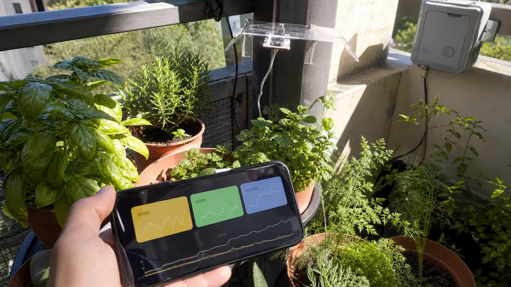 Balcony light sensor and a phone dashboard showing soil, light, and water trends